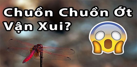 Chuồn chuồn điềm báo gì