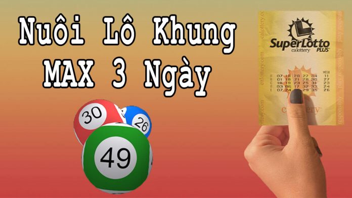 Nuôi lô tô khung 3 ngày