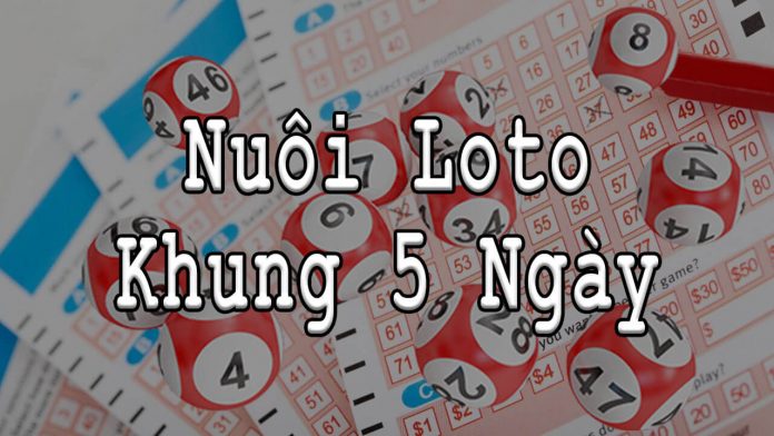 Nuôi lô tô khung 5 ngày