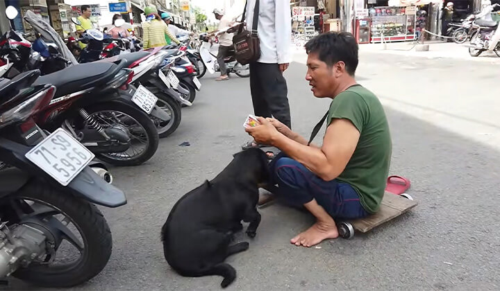 Chó bán vé số đông tháp