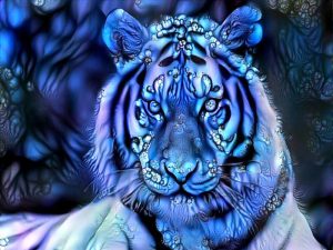 Nằm mơ thấy hổ