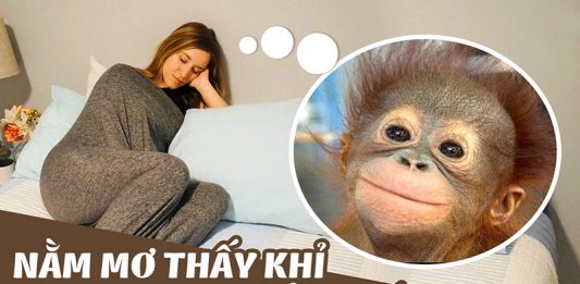Nằm mơ thấy khỉ có điềm gì?