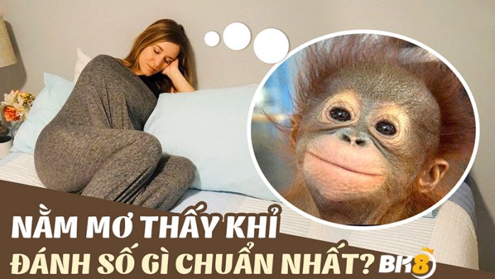 Nằm mơ thấy khỉ có điềm gì?