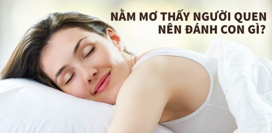 đánh con gì khi nằm mơ thấy người quen