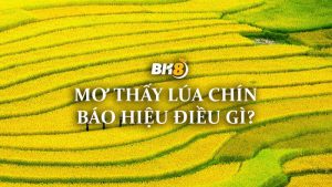 mơ thấy lúa chín có nghĩa gì